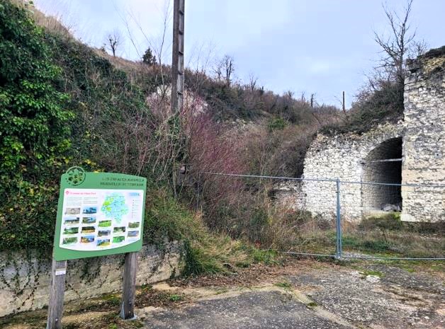 Sortie orchidées et patrimoine à Ports sur Vienne 