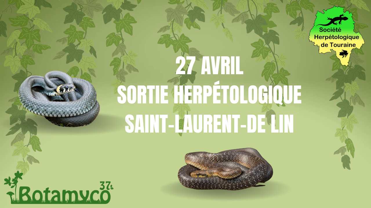 Balade et formation découverte Serpents de Touraine